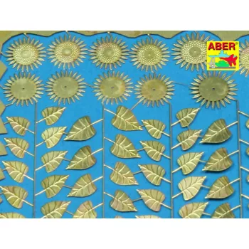 Aber Models - Sunflowers
