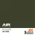 AK Interactive - PC10 Late