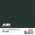 AK Interactive - IJN D2 Green Black