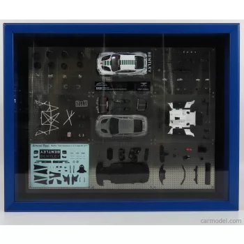   Almost-Real - Bentley Quadro Panel Display Continental Gt3 Team Absolute Asia N 8 2015 White Green