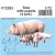 CMK - 1/72 Sow with piglets