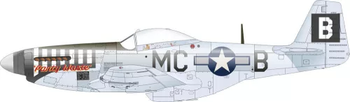 Eduard - P-51D-5 8th AF   EDUARD