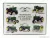 Edicola - Accessories 3D Metal Plate - John Deere Chart Green Yellow