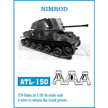 Friulmodel - NIMROD