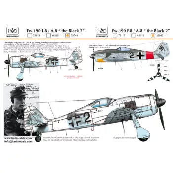 HAD models - FW-190 F-8 (Black 2)