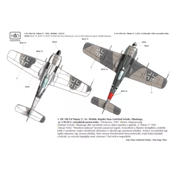   HAD models - Fw-190 F-8 / A-8  (Luftwaffe "black 2")