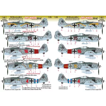 HAD models - FW 190 A-8 A-8/R-2 DRY-WATER decals 1:35