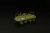 Hauler - BTR-60 PU