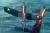 Hobbyboss - F4U-1 Corsair Late Version