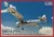 IBG - 1/72 RWD-8 PWS – German, Latvian and Soviet service