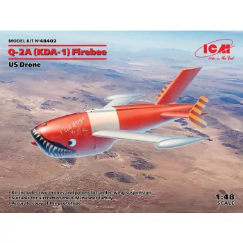   ICM - Q-2A (XM-21, KDA-1) Firebee, US Drone (2 airplanes and pilons)