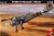 Mistercraft - Fi-156 C-3 Rommels Storch
