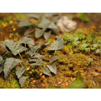 Matho Models - Plants & Weeds E