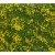 Noch - Groundcover Foliage Meadow Yellow (12 X 18 Cm, 70 G)