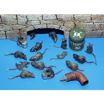 Plus Model - Ratten