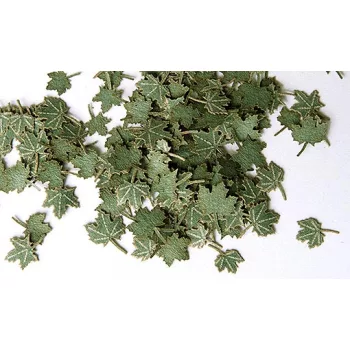 Plus Model - Grüne Walnussblätter