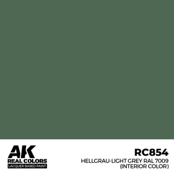   AK Interactive - Hellgrau-Light Grey RAL 7009 (interior color) 17 m