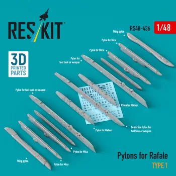 Reskit - Pylons for Rafale type 1 (3D Printed)