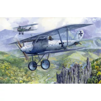 Roden - Pfalz D.III