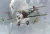 Roden - Nieuport 28