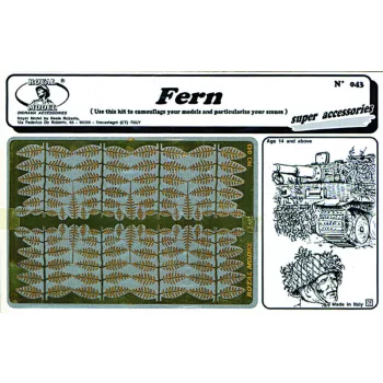 Royal Model - Fern