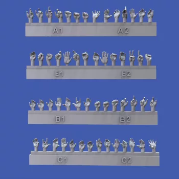 Royal Model - Assorted hands