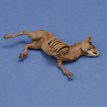 Royal Model - Donkey carcass