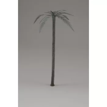 Royal Model - Palm