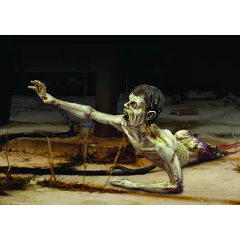Royal Model - Zombie-/half body 'Zombies serie'