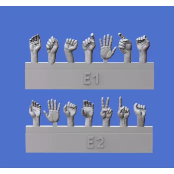 Royal Model - Assorted hands set No.5