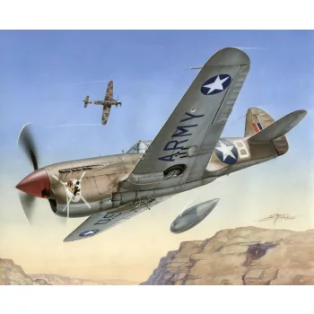   Special Hobby - Curtiss P-40-F Warhawk "Short Tails over Africa"