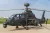 Trumpeter - Z-19G Light Scout/Attack Helicopter