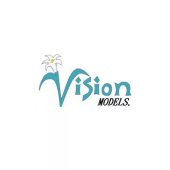 Vision Models